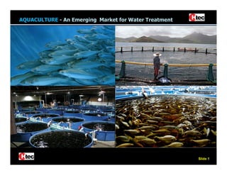 AQUACULTURE - An Emerging Market for Water Treatment




                                 The Fastest Growing
                                 Food Business in the
                                 World is Aquaculture.


                                 Phillip L. Hayden, Ph.D., P.E.




                                                           Slide 1
 