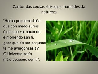 Cantor das cousas sinxelas e humildes da
natureza
“Herba pequerrechiña
que con medo surrís
ó sol que vai nacendo
e morrendo sen ti,
¿por que de ser pequena
te me avergonzas ti?
O Universo sería
máis pequeno sen ti”.
 