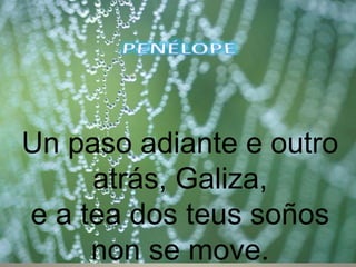 Un paso adiante e outro
atrás, Galiza,
e a tea dos teus soños
non se move.
 