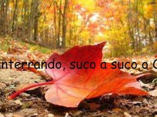 enterrando, suco a suco o O
 