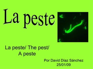 La peste/ The pest/ A peste Por David Díaz Sánchez 25/01/09 La peste 