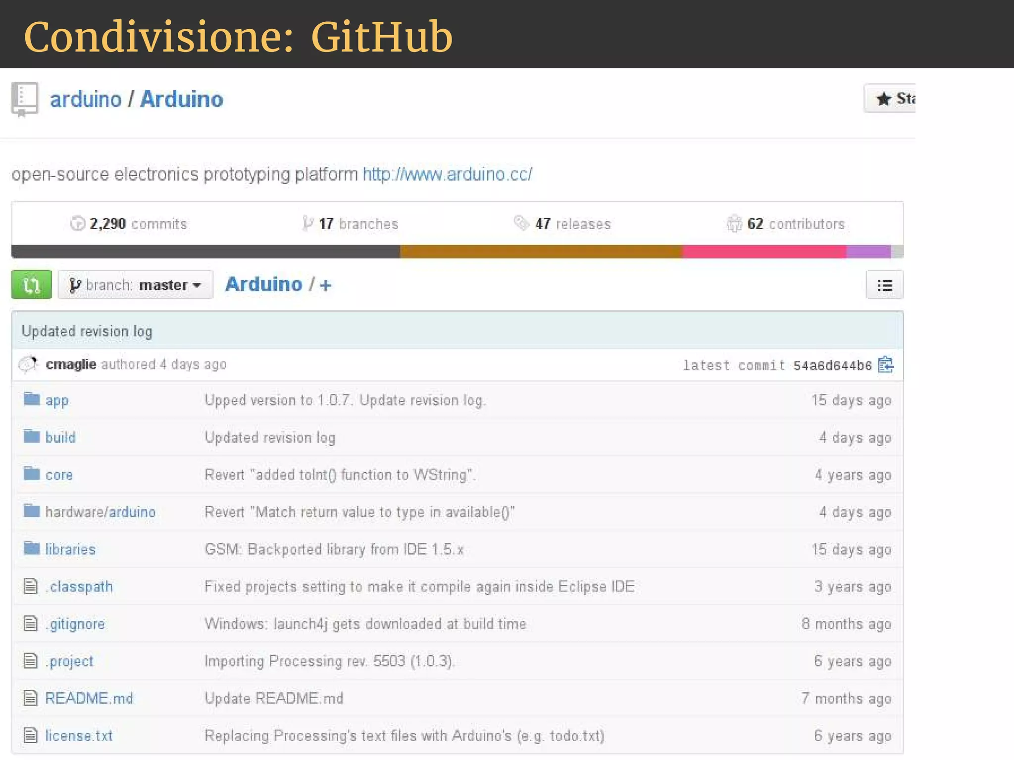 Condivisione: GitHub 
 