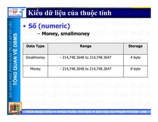 UU
Kiểu dữ liệu của thuộc tính
ỞDỮLiỆUỞDỮLiỆU
MSMS
• Số (numeric)
– Money, smallmoney
NTRỊCƠSNTRỊCƠS
VỀDBMVỀDBM
Data Type Range Storage
HẦNQuẢNHẦNQuẢN
QUANVQUANV
Smallmoney - 214,748.3648 to 214,748.3647 4 byte
Money 214 748 3648 to 214 748 3647 8 byte
NGNGHỌCPHHỌCPH
TỔNGQTỔNGQ
Money - 214,748.3648 to 214,748.3647 8 byte
BÀIGIẢNBÀIGIẢN
TT
TRẦN NGỌC BẢOTRẦN NGỌC BẢO KHOA TOÁNKHOA TOÁN --TIN HỌCTIN HỌC ĐẠI HỌC SƯ PHẠM TP.HCM (ĐẠI HỌC SƯ PHẠM TP.HCM (3939))TRẦN NGỌC BẢOTRẦN NGỌC BẢO KHOA TOÁNKHOA TOÁN --TIN HỌCTIN HỌC ĐẠI HỌC SƯ PHẠM TP.HCM (ĐẠI HỌC SƯ PHẠM TP.HCM (3939))
 