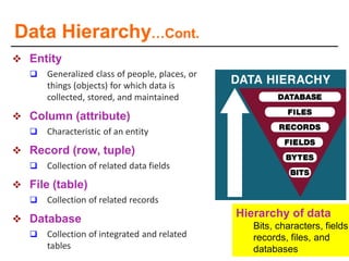 Character Field Record File Database DB.pdf chapter 3 about data base and frogein key | PDF