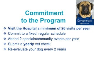 Commitment
to the Program
 Visit the Hospital a minimum of 26 visits per year
 Commit to a fixed, regular schedule
 Attend 2 special/community events per year
 Submit a yearly vet check
 Re-evaluate your dog every 2 years
 