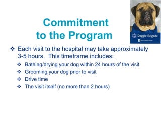 Commitment
to the Program
 Each visit to the hospital may take approximately
3-5 hours. This timeframe includes:
 Bathing/drying your dog within 24 hours of the visit
 Grooming your dog prior to visit
 Drive time
 The visit itself (no more than 2 hours)
 