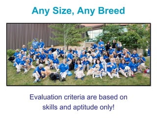 Any Size, Any Breed
Evaluation criteria are based on
skills and aptitude only!
 