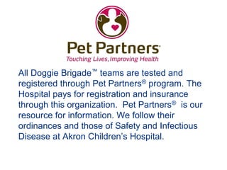 All Doggie Brigade™ teams are tested and
registered through Pet Partners® program. The
Hospital pays for registration and insurance
through this organization. Pet Partners® is our
resource for information. We follow their
ordinances and those of Safety and Infectious
Disease at Akron Children’s Hospital.
 