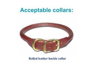 Acceptable collars:
Rolled leather buckle collar
 