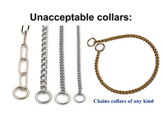 Unacceptable collars:
Chains collars of any kind
 