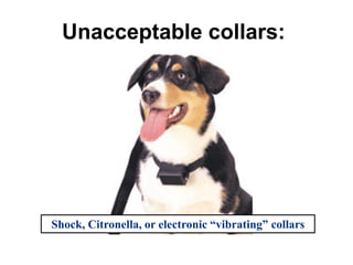 Unacceptable collars:
Shock, Citronella, or electronic “vibrating” collars
 