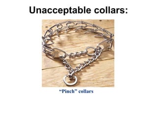 Unacceptable collars:
“Pinch” collars
 