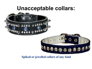 Unacceptable collars:
Spiked or jewelled collars of any kind
 
