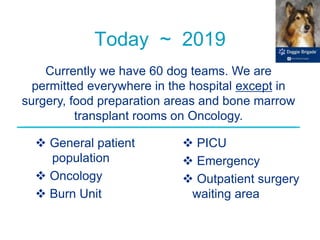 Today ~ 2019
 General patient
population
 Oncology
 Burn Unit
 PICU
 Emergency
 Outpatient surgery
waiting area
Currently we have 60 dog teams. We are
permitted everywhere in the hospital except in
surgery, food preparation areas and bone marrow
transplant rooms on Oncology.
 