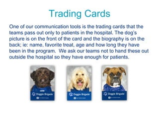 Trading Cards
One of our communication tools is the trading cards that the
teams pass out only to patients in the hospital. The dog’s
picture is on the front of the card and the biography is on the
back; ie: name, favorite treat, age and how long they have
been in the program. We ask our teams not to hand these out
outside the hospital so they have enough for patients.
 