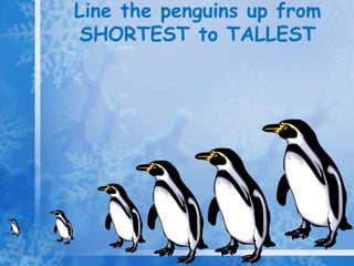 Line the penguins up from
 SHORTEST to TALLEST
 
