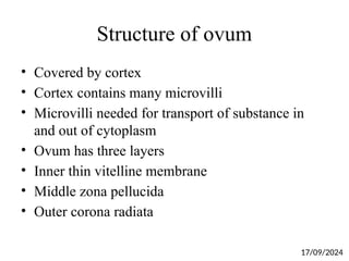 Structure of ovum
• Covered by cortex
• Cortex contains many microvilli
• Microvilli needed for transport of substance in
and out of cytoplasm
• Ovum has three layers
• Inner thin vitelline membrane
• Middle zona pellucida
• Outer corona radiata
17/09/2024
 