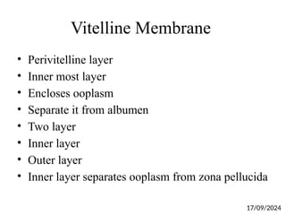 Vitelline Membrane
• Perivitelline layer
• Inner most layer
• Encloses ooplasm
• Separate it from albumen
• Two layer
• Inner layer
• Outer layer
• Inner layer separates ooplasm from zona pellucida
17/09/2024
 