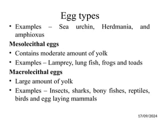 Egg types
• Examples – Sea urchin, Herdmania, and
amphioxus
Mesolecithal eggs
• Contains moderate amount of yolk
• Examples – Lamprey, lung fish, frogs and toads
Macrolecithal eggs
• Large amount of yolk
• Examples – Insects, sharks, bony fishes, reptiles,
birds and egg laying mammals
17/09/2024
 