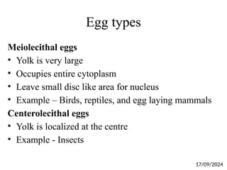 Egg types
Meiolecithal eggs
• Yolk is very large
• Occupies entire cytoplasm
• Leave small disc like area for nucleus
• Example – Birds, reptiles, and egg laying mammals
Centerolecithal eggs
• Yolk is localized at the centre
• Example - Insects
17/09/2024
 
