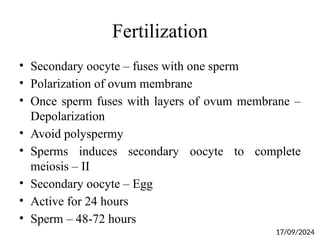 Fertilization
• Secondary oocyte – fuses with one sperm
• Polarization of ovum membrane
• Once sperm fuses with layers of ovum membrane –
Depolarization
• Avoid polyspermy
• Sperms induces secondary oocyte to complete
meiosis – II
• Secondary oocyte – Egg
• Active for 24 hours
• Sperm – 48-72 hours
17/09/2024
 