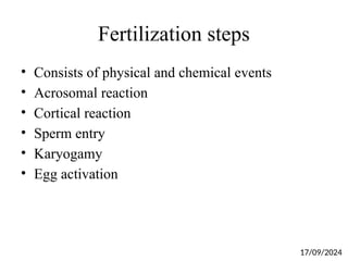 Fertilization steps
• Consists of physical and chemical events
• Acrosomal reaction
• Cortical reaction
• Sperm entry
• Karyogamy
• Egg activation
17/09/2024
 