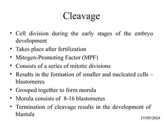 Cleavage
• Cell division during the early stages of the embryo
development
• Takes place after fertilization
• Mitogen-Promoting Factor (MPF)
• Consists of a series of mitotic divisions
• Results in the formation of smaller and nucleated cells –
blastomeres
• Grouped together to form morula
• Morula consists of 8-16 blastomeres
• Termination of cleavage results in the development of
blastula
17/09/2024
 