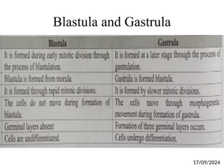 Blastula and Gastrula
17/09/2024
 