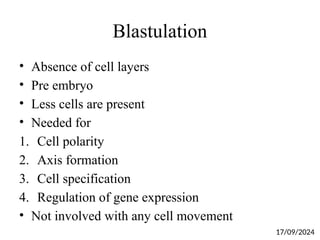 Blastulation
• Absence of cell layers
• Pre embryo
• Less cells are present
• Needed for
1. Cell polarity
2. Axis formation
3. Cell specification
4. Regulation of gene expression
• Not involved with any cell movement
17/09/2024
 