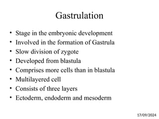 Gastrulation
• Stage in the embryonic development
• Involved in the formation of Gastrula
• Slow division of zygote
• Developed from blastula
• Comprises more cells than in blastula
• Multilayered cell
• Consists of three layers
• Ectoderm, endoderm and mesoderm
17/09/2024
 