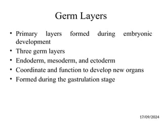 Germ Layers
• Primary layers formed during embryonic
development
• Three germ layers
• Endoderm, mesoderm, and ectoderm
• Coordinate and function to develop new organs
• Formed during the gastrulation stage
17/09/2024
 