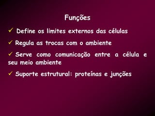 Funções
 Define os limites externos das células
 Regula as trocas com o ambiente
 Serve como comunicação entre a célula e
seu meio ambiente
 Suporte estrutural: proteínas e junções
 