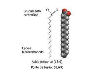 Grupamento
carboxílico
Cadeia
hidrocarbonada
Ácido esteárico (18:0)
Ponto de fusão: 69,6C
 