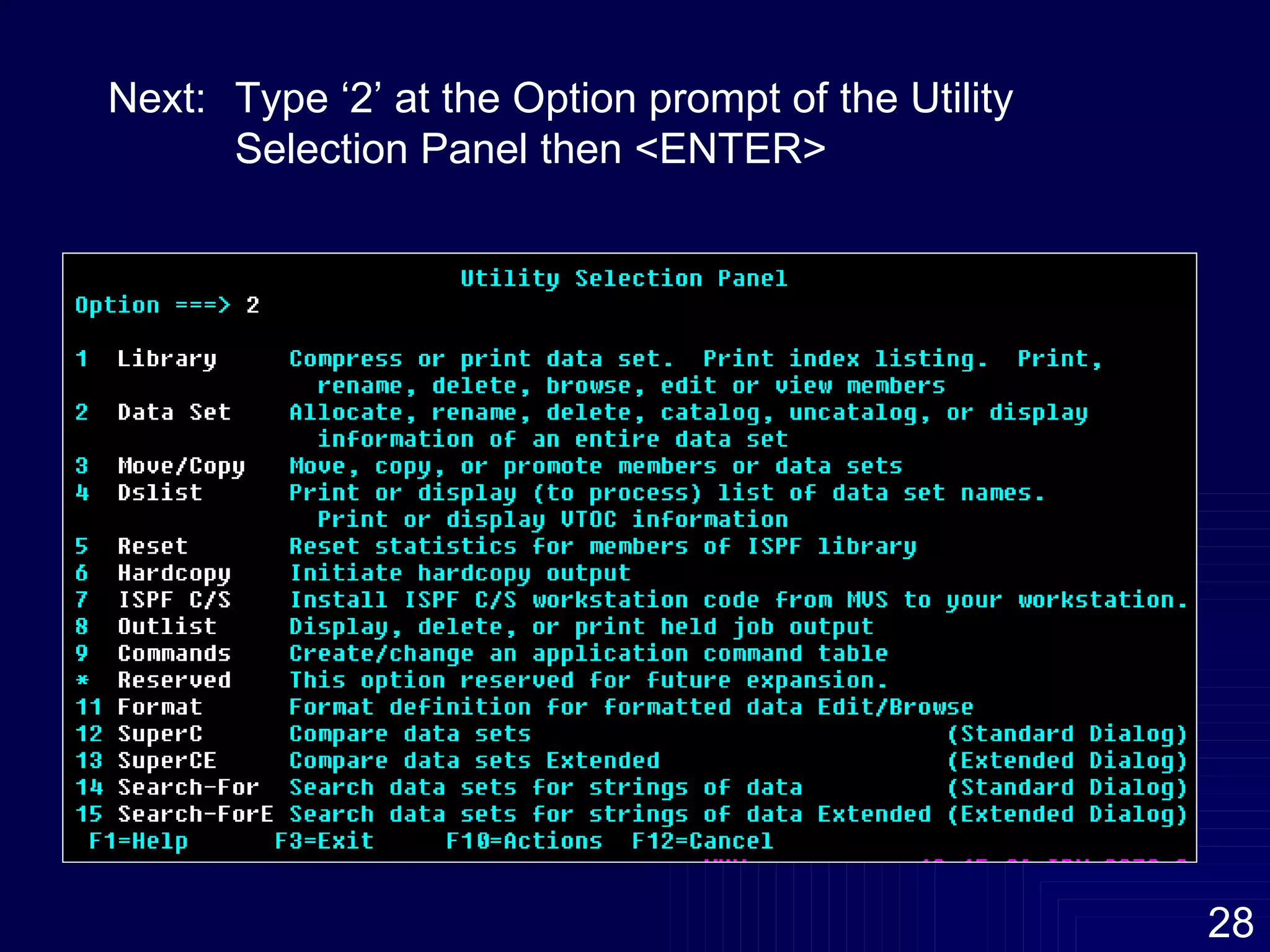 Next:  Type ‘2’ at the Option prompt of the Utility  Selection Panel then <ENTER> 