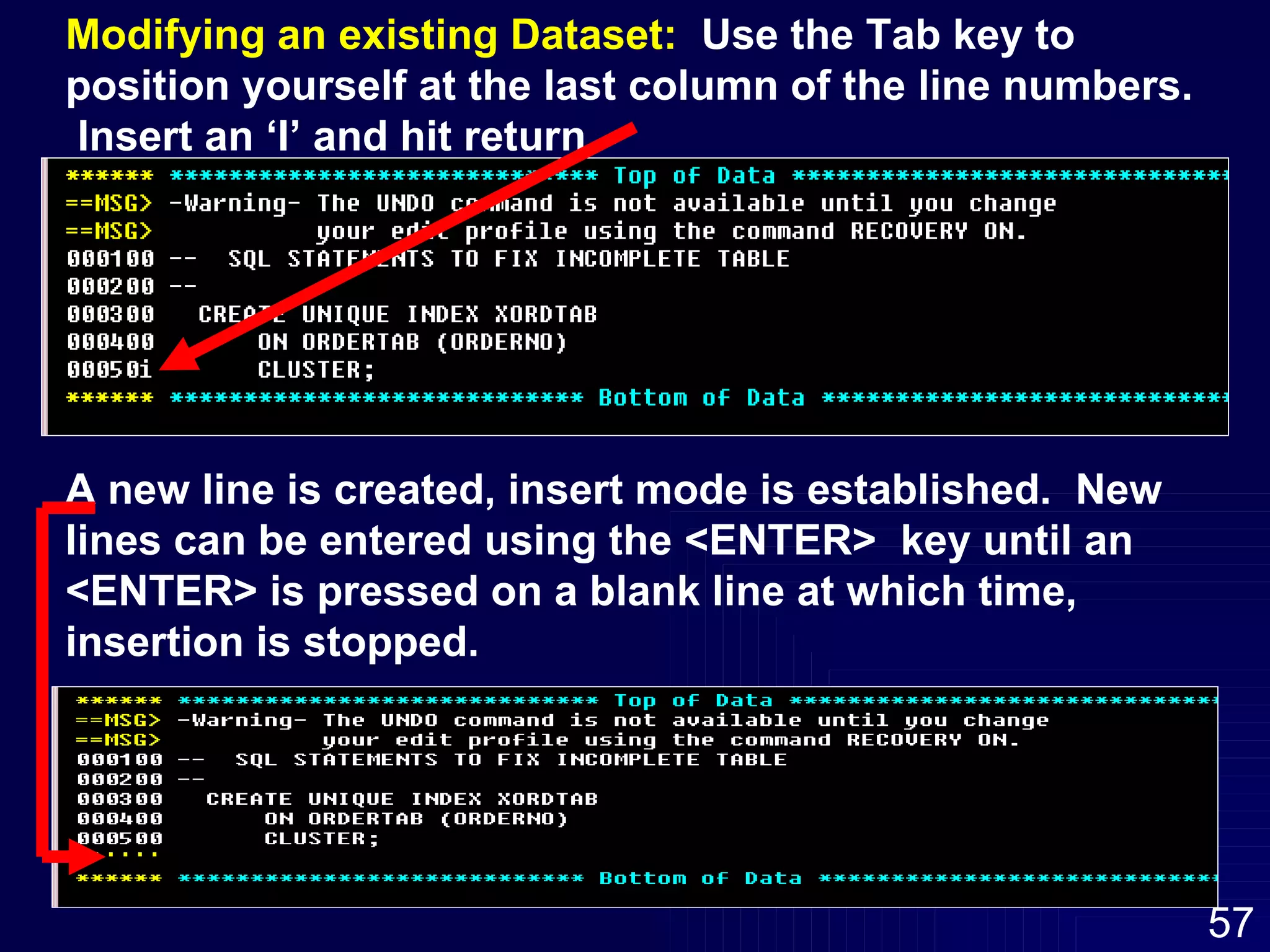 Modifying an existing Dataset:   Use the Tab key to position yourself at the last column of the line numbers.  Insert an ‘I’ and hit return.  A new line is created, insert mode is established.  New lines can be entered using the <ENTER>  key until an <ENTER> is pressed on a blank line at which time, insertion is stopped. 