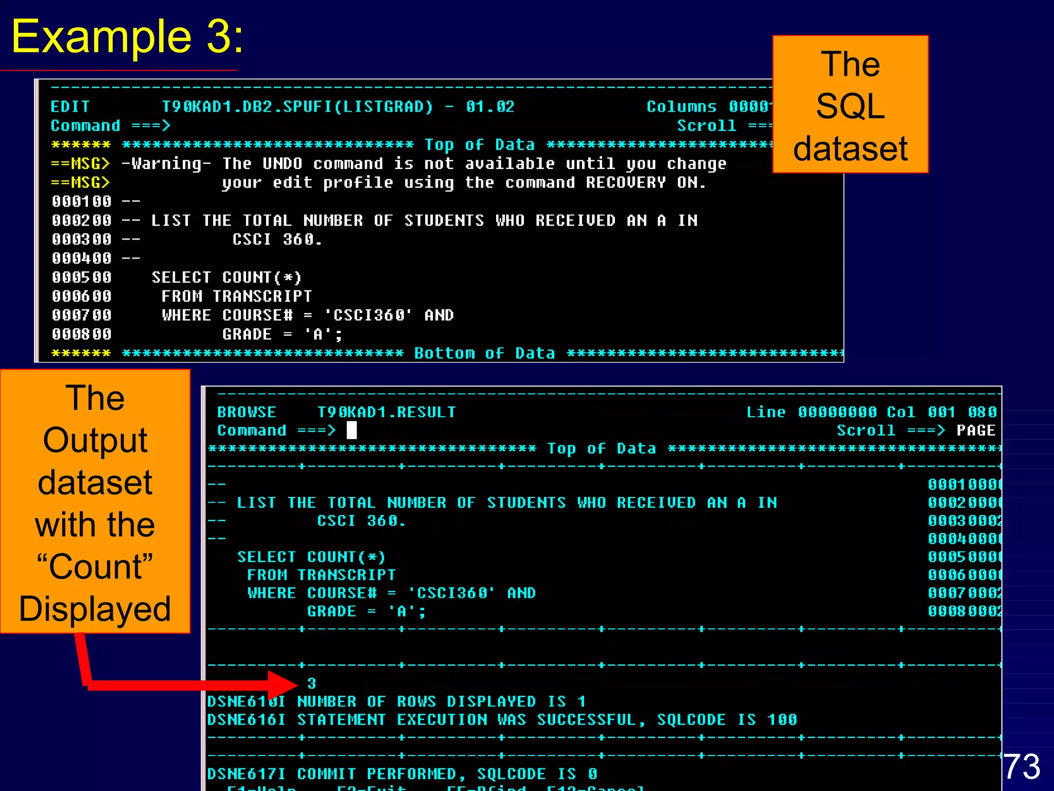 Example 3: The SQL dataset The Output dataset with the “Count” Displayed 