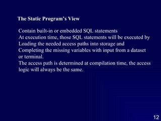 The Static Program’s View Contain built-in or embedded SQL statements At execution time, those SQL statements will be executed by Loading the needed access paths into storage and  Completing the missing variables with input from a dataset or terminal. The access path is determined at compilation time, the access logic will always be the same.  