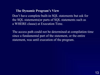 The Dynamic Program’s View Don’t have complete built-in SQL statements but ask for the SQL statements(or parts of SQL statements such as a WHERE clause) at Execution Time. The access path could not be determined at compilation time since a fundamental part of the statement, or the entire  statement, was until execution of the program. 