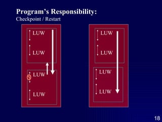 Program’s Responsibility: Checkpoint / Restart LUW LUW LUW LUW LUW LUW LUW LUW 