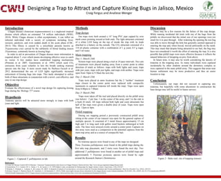 Designing a Trap to Attract and Capture Kissing Revision | PPT