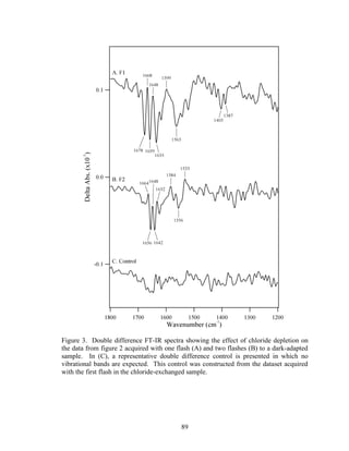 89
Figure 3. Double difference FT-IR spectra showing the effect of chloride depletion on
the data from figure 2 acquired with one flash (A) and two flashes (B) to a dark-adapted
sample. In (C), a representative double difference control is presented in which no
vibrational bands are expected. This control was constructed from the dataset acquired
with the first flash in the chloride-exchanged sample.
 