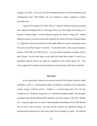 97
example, see [74]). In our case, the 2
H2O exchange protocol involved resuspension and
centrifugation from 2
H2O buffers and was designed to probe exchange at readily
accessible sites.
Figure 6A-D compares the 2200-1200 cm–1
region of difference spectra generated
from chloride-exchanged PSII in 1
H2O (green line) and 2
H2O (black line) buffers as a
function of flash number. Control difference spectra are shown in figure 6E. Double
difference spectra were then constructed to identify the extent of solvent exchange (figure
7). Significant features are observed in the double difference spectra constructed on the
first and second flash (figure 7A and B). As described above, these spectral features,
between 1690-1600 and 1590-1540 cm–1
, are most likely assignable to protein amide I
and II bands. On the other hand, on the third and fourth flash (figure 7C and D), no
significant spectral features are observed, compared to the control (figure 7E). This
result suggests that a change in protein dynamics occurs during or after the S3 transition.
Discussion
In our experiments, chloride was removed from the PSII reaction center by sulfate
incubation at pH 7.5. Reconstitution either of chloride or bromide in this preparation
restores oxygen evolution activity. Sulfate is a non-activating anion [29, 38, 44].
Comparison of vibrational frequencies in a chloride-exchanged sample with bromide-
exchanged and chloride-depleted PSII identifies structural changes at the OEC chloride
site. Using this approach, we report S state dependent perturbations of the PSII chloride
site on each S state transition. We also provide evidence for significant changes in
protein dynamics during the S state cycle, using 2
H2O exchange as a probe. The detected
 