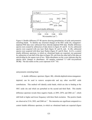 123
Figure 4. Double difference FT-IR spectra showing perturbations of azide antisymmetric
stretching bands. To identify any structural changes at the OEC azide site, manganese-
depleted PSII data were subtracted from chloride-depleted PSII data. Double difference
spectra were created by subtraction of data shown in figure 2C and D. In (A), subtracted
spectra were acquired with one laser flash (figure 2C and D, red). In (B), subtracted
spectra were acquired with three laser flashes (figure 2C and D, blue). In (C), a control
double difference spectrum, in which no vibrational bands are expected, was generated
by subtraction of one half of the data in (figure 2D, red) from the other half of the data set
and dividing by the square root of two. Delta absorbance on the y-axis indicates that the
spectra show changes in absorbance. All samples contained 1.5 mM recrystallized
DCBQ. The tick marks on the y-axis represent 5x10–4
AU.
antisymmetric stretching band.
A double difference spectrum (figure 4B), chloride-depleted-minus-manganese-
depleted, can be used to remove acceptor-side and any other non-OEC azide
contributions. This method will identify azide bands, which are due to binding at the
OEC azide site and which are perturbed on the second and third flash. This double
difference spectrum reveals three negative bands, at 2093, 2078, and 2066 cm–1
, which
shift both to higher and lower frequency with three flash excitation. The positive bands
are observed at 2116, 2052, and 2040 cm–1
. The intensities are significant compared to a
control double difference spectrum, in which no vibrational bands are expected (figure
 