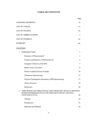 iv
TABLE OF CONTENTS
Page
ACKNOWLEDGMENTS iii
LIST OF TABLES vii
LIST OF FIGURES viii
LIST OF ABBREVIATIONS x
LIST OF SYMBOLS xii
SUMMARY xiii
CHAPTERS
1 INTRODUCTION 1
Structure of Photosystem II 1
Function and Kinetics of Photosystem II 5
Inorganic Cofactors of the OEC 7
Redox-Active Tyrosines 9
Proton-Coupled Electron Transfer 10
Vibrational Spectroscopy 12
Electron Paramagnetic Resonance (EPR) Spectroscopy 17
Thesis Overview 19
References 20
2 TIME-RESOLVED VIBRATIONAL SPECTROSCOPY DETECTS PROTEIN-
BASED INTERMEDIATES IN THE PHOTOSYNTHETIC OXYGEN-
EVOLVING CYCLE 34
Abstract 34
Introduction 35
Materials and Methods 38
 