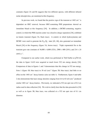 60
constants (figure 2A and B) suggests that two different species, with different infrared
molar absorptivities, are monitored at this frequency.
In previous work, we found that the positive sign of the transient at 1483 cm–1
is
dependent on OEC removal, because OEC-containing PSII preparations showed an
immediate bleach at this frequency [34]. In addition, a DCMU-containing, negative
control, in which the PSII reaction center was closed to charge separation [34], exhibited
no kinetic transient (figure 3A, black trace). A control, in which hydroxylamine and
DCMU were used to generate the P680
+
QA
–
state [43, 44], also generated an immediate
bleach [34] at this frequency (figure 3A, brown trace). Triple exponential fits to the
transient gave rate constants of 36,000 ± 6,000 (32%), 2900 ± 600 (24%), and 214 ± 24
(44%) s–1
.
Compared to our earlier work, which was performed in 2
H2O buffer at p2
H 6.0,
the data in figure 1A-D were acquired at much lower 532 nm energy density [34].
Comparison of data in figures 1 and 3 demonstrates that this change in 532 nm energy,
from 1 (figure 1B, blue trace) to 38 mJ (cm)–2
(figure 3B, blue trace), had little or no
effect on the 1483 cm–1
decay kinetics (also see table 1). Furthermore, figure 4 and table
2 also demonstrate that laser energy densities ranging from 6.4 to 63 mJ (cm)–2
produced
similar 1483 cm–1
decay kinetics. Previously, we indicated a 532 nm spot size of 0.2 cm
radius used in data collection [34]. We wish to clarify here that the data presented in [34]
as well as in figure 3B, blue trace, was collected at a 532 nm spot size of 0.1 cm
diameter.
 
