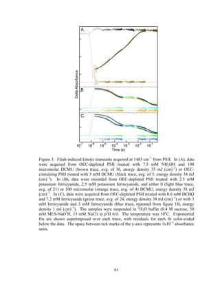 61
Figure 3. Flash-induced kinetic transients acquired at 1483 cm–1
from PSII. In (A), data
were acquired from OEC-depleted PSII treated with 7.5 mM NH2OH and 100
micromolar DCMU (brown trace, avg. of 36, energy density 33 mJ (cm)–2
) or OEC-
containing PSII treated with 5 mM DCMU (black trace, avg. of 5, energy density 38 mJ
(cm)–2
). In (B), data were recorded from OEC-depleted PSII treated with 2.5 mM
potassium ferricyanide, 2.5 mM potassium ferrocyanide, and either 0 (light blue trace,
avg. of 21) or 100 micromolar (orange trace, avg. of 4) DCMU, energy density 38 mJ
(cm)–2
. In (C), data were acquired from OEC-depleted PSII treated with 0.6 mM DCBQ
and 7.2 mM ferricyanide (green trace, avg. of 24, energy density 38 mJ (cm)–2
) or with 3
mM ferricyanide and 3 mM ferrocyanide (blue trace, repeated from figure 1B, energy
density 1 mJ (cm)–2
). The samples were suspended in 2
H2O buffer (0.4 M sucrose, 50
mM MES-NaO2
H, 15 mM NaCl) at p2
H 6.0. The temperature was 10o
C. Exponential
fits are shown superimposed over each trace, with residuals for each fit color-coded
below the data. The space between tick marks of the y-axis represents 1x10–3
absorbance
units.
 