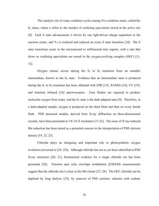 78
The catalytic site of water oxidation cycles among five oxidation states, called the
Sn states, where n refers to the number of oxidizing equivalents stored at the active site
[9]. Each S state advancement is driven by one light-driven charge separation in the
reaction center, and YZ is oxidized and reduced on every S state transition [10]. The S
state transitions occur in the microsecond to millisecond time regime, with a rate that
slows as oxidizing equivalents are stored in the oxygen-evolving complex (OEC) [11,
12].
Oxygen release occurs during the S3 to S0 transition from an unstable
intermediate, known as the S4 state. Evidence that an intermediate state is produced
during the S3 to S0 transition has been obtained with EPR [13], XANES [14], UV [15],
and transient infrared [16] spectroscopies. Four flashes are required to produce
molecular oxygen from water, and the S1 state is the dark-adapted state [9]. Therefore, in
a dark-adapted sample, oxygen is produced on the third flash and then on every fourth
flash. PSII structural models, derived from X-ray diffraction on three-dimensional
crystals, have been presented at 3.8-3.0 Å resolution [17-21]. The issue of X-ray-induced
Mn reduction has been raised as a potential concern in the interpretation of PSII electron
density [19, 22, 23].
Chloride plays an intriguing and important role in photosynthetic oxygen
evolution (reviewed in [24, 25]). Although chloride has not as yet been identified in PSII
X-ray structures [20, 21], biochemical evidence for a single chloride ion has been
presented [26]. Electron spin echo envelope modulation (ESEEM) measurements
suggest that the chloride site is close to the Mn cluster [27, 28]. The OEC chloride can be
depleted by long dialysis [25], by removal of PSII extrinsic subunits with sodium
 