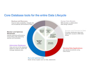 Backup and Recovery
Improve data availability, mitigate risk
and accelerate administrative tasks
Monitor and Optimize
Workloads
Identify potential performance
issues along with optimizing
queries and workloads
Administer Databases
View and act on the database
objects as well as create and
manage database jobs.
Design Data Models
IBM provides a collaborative
data design solution
Access and Connect to Data
Provides distributed client and
application access to IBM Data
stores
Develop Data Applications
and stored procedures using
Data Studio
Run and optimize SQL
Build, format, explain and run SQL statements
Core Database tools for the entire Data Lifecycle
Data Server
Manager
and
Consoles
Advanced
Recovery
Feature
InfoSphere
Data
Architect
Db2 Connect
DS Driver
DS Gateway
for ODATA
Data Studio
& pureQuery
 