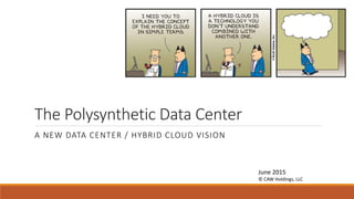 The Polysynthetic Data Center
A NEW DATA CENTER / HYBRID CLOUD VISION
June 2015
© CAW Holdings, LLC
 