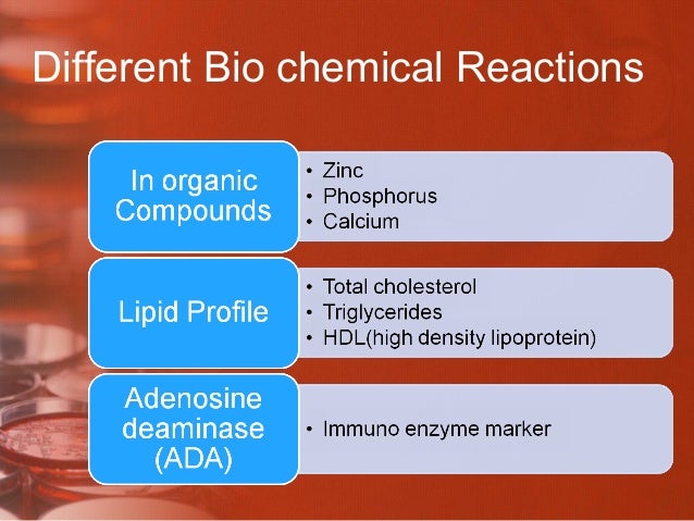 Simple thesis ppt template image